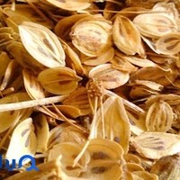 پخش خشکبار و عطاری برادران برنا و محمدی