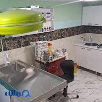 کلینیک دامپزشکی دکتر رشیدی