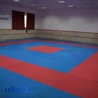باشگاه کاراته و دفاع شخصی