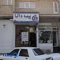 بیمه دانا