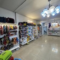 کلینیک دامپزشکی حامی