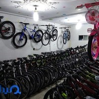 دوچرخه وحیدی