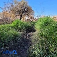 دفتر برندینگ و دیجیتال مارکتینگ معمارسیتی