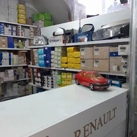 رنو هاشمی