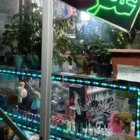 آرایشی صدف