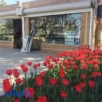 داروخانه راضیه