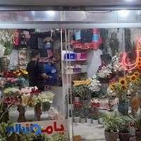 گل پامچال