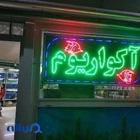 اكواريوم ستاره خليج