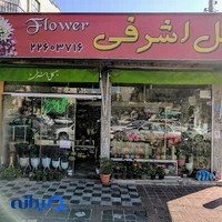 گل اشرفی
