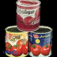 container corporation of iran