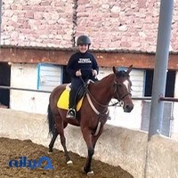 آکادمی سوارکاری امیرحسین دارابی