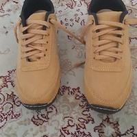 بیکوپلاس