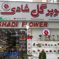 گل فروشی شادی