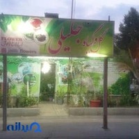 گل و گیاه جلیلی
