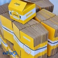 کارتن سازی خزر گیل