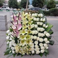 باغ رز