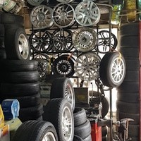 لاستیک فروشی محمدی