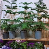 فروشگاه پریسان شعبه یک