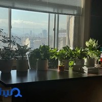 موسسه عدل گستر علی زاده توس