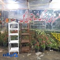 نهالستان گل