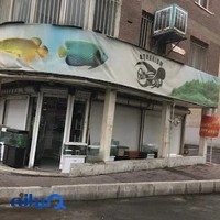 آکواریوم روزبه