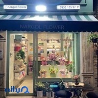 گلفروشی نارگُل