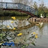 اقامتگاه بومگردی دیلباب