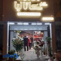 گل فروشی کاتالیا