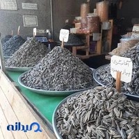 تخمه و خشکبار صادقی Tokhme sadeghi