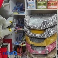 پت شاپ حامی لاهیجان