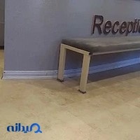 Persian Pet Clinic کلینیک حیوانات پرشین