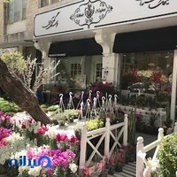 گل‌فروشی میخک نقره‌ای