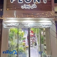 گالری گل پیونی Peony flower gallery