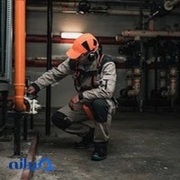 شرکت گنجینه پاوان