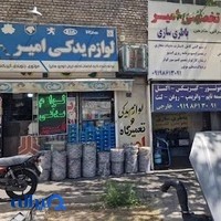 مجموعه خدمات خودرویی امیر