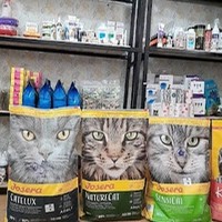کلینیک دامپزشکی رامسین