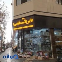 هایپر پلاست قیاسی ۱