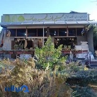 مجتمع نان دادمان