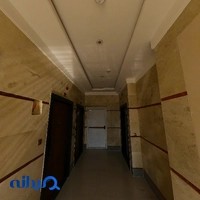 پیشگامان دامنه فناوری