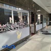 🦢 قو طلایی