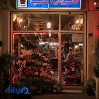 گلفروشی کاملیا