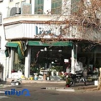 گل مینا