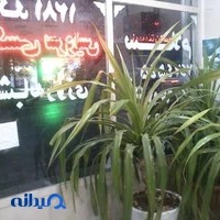 تاکسی سرویس سلام