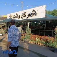 شهر گل