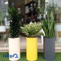 فروشگاه گل و گلدون