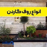 چکادبام