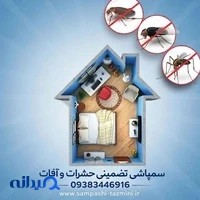 سمپاشی سوسک ریز کابینتی