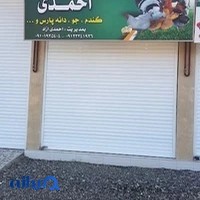 خوراک دام و طیور احمدی