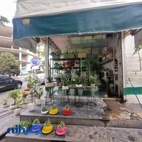 گلفروشی قیطریه