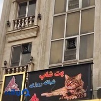 پت شاپ درین